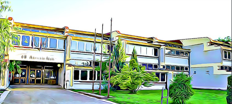 41 година снова и одрастања: Прослављамо Дан школе