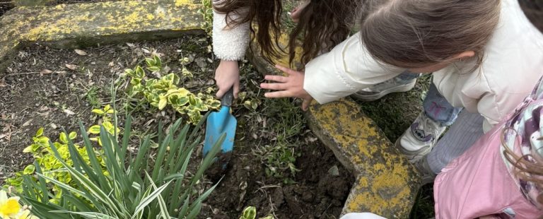 „Баци нешто лепо“: Нека наша школа процвета!